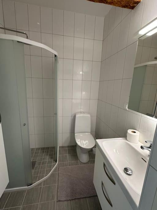 Innerstan Nya Laegenheter Soedramurgatan 45B Visby Bagian luar foto