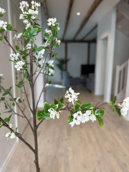 Innerstan Nya Laegenheter Soedramurgatan 45B Visby Bagian luar foto